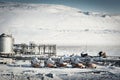 Old broken helicopters parked near an airfield in the Arctic