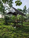 Old broken hut in a swamp forest Royalty Free Stock Photo