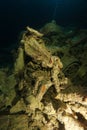 Old broken motorcycle inside the wreck name is SS Thistlegorm