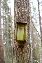 old broken nesting box hanging alone on tree trunk