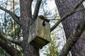 Old broken nesting box in the tree