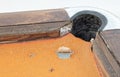 Old broken pooltable outside, selective focus Royalty Free Stock Photo