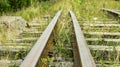 An old and broken overgrown railway Royalty Free Stock Photo