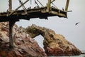 Old, broken pier and seagulls on Ballestas Islands at Pisco, Peru Royalty Free Stock Photo