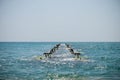 Old broken pier Royalty Free Stock Photo