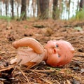 An old broken plastic doll lies in the woods Royalty Free Stock Photo