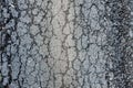 old broken road with cracked asphalt Royalty Free Stock Photo