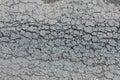 old broken road with cracked asphalt . Royalty Free Stock Photo