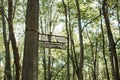 Old broken signpost on a tree in the forest