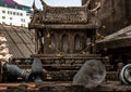 Old broken spirit houses or joss houses abandoned on abandoned building