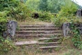 An old broken stairs surrounded by the nature