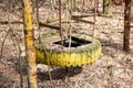 Old broken swing made of metal and car tire on abandoned playground among trees in ghost town Pripyat, Chernobyl Exclusion Zone, Royalty Free Stock Photo