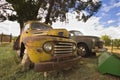 Old broken vintage cars under tree