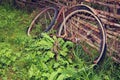 Old broken vintage rust bicycle Royalty Free Stock Photo