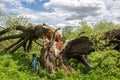 Old broken willow, summer day