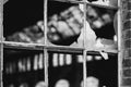 old broken windows Royalty Free Stock Photo