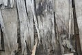 Old broken wood plank texture