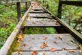 Old broken wooden bridge with holes dangerous walking path