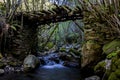 Old broken wooden bridge over a beautiful crystal clear river surrounded by lush wet forest. River SoldÃÂ³n. O Courel