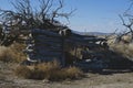 A old wooden cabin in the desert Royalty Free Stock Photo