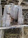 old and broken wooden chair in the woods Royalty Free Stock Photo