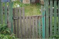 Old broken wooden door on a gray green fence Royalty Free Stock Photo