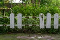 Old broken wooden fence with green plants background. Hole and gap in wooden wall Royalty Free Stock Photo