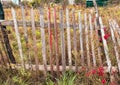 An old broken wooden fence on a summer cottage Royalty Free Stock Photo