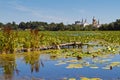 Old broken wooden footbridge in countryside landscape with a lake in water lily leaves rich green vegetation Royalty Free Stock Photo