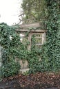 Old broken wooden gate with climbing plant Royalty Free Stock Photo