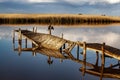 Old broken wooden pier in a lake with a grass field and a gray sky in the background Royalty Free Stock Photo