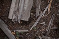 Old broken wooden planks on ground