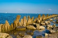 Wooden posts covered in seaweed and rocks in sea Royalty Free Stock Photo