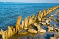 Wooden posts covered in seaweed and rocks in sea Royalty Free Stock Photo