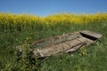 Old Broken Wooden Rowboat In Summer Landscape