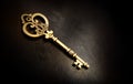 Old bronze key on a dark background