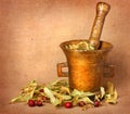 Old bronze mortar with linden and rose hips Royalty Free Stock Photo