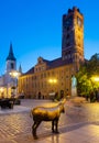 Old bronze sculpture of a donkey on the street in the historical district of Torun