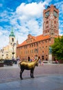 Old bronze sculpture of a donkey on the street in the historical district of Torun