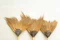 Old broom or besom