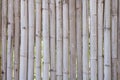 Old brown bamboo for make fence, hut or wall home in countryside. Royalty Free Stock Photo