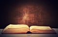 Old brown book opened Royalty Free Stock Photo