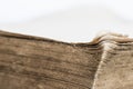 An old brown book on a white wall. Royalty Free Stock Photo