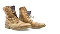 Old Brown boots Royalty Free Stock Photo