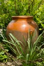 Old Brown clay jug at green garden with metal chain Royalty Free Stock Photo