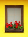 Old brown closed wooden window home with glass on a background with a yellow facade. Plastic window frame house with natural wood Royalty Free Stock Photo
