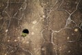 Old brown cracked textured wall with a hole outdoors Royalty Free Stock Photo