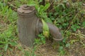 Old brown iron tap for water supply on the street Royalty Free Stock Photo