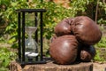 Old brown leather boxing gloves and an hourglass on a wooden deck. Shabby aged sports mittens and a white sand glass