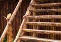 Old brown orange rustic construction. Plank log stairs stairway ladder in front of natural wooden fence construction